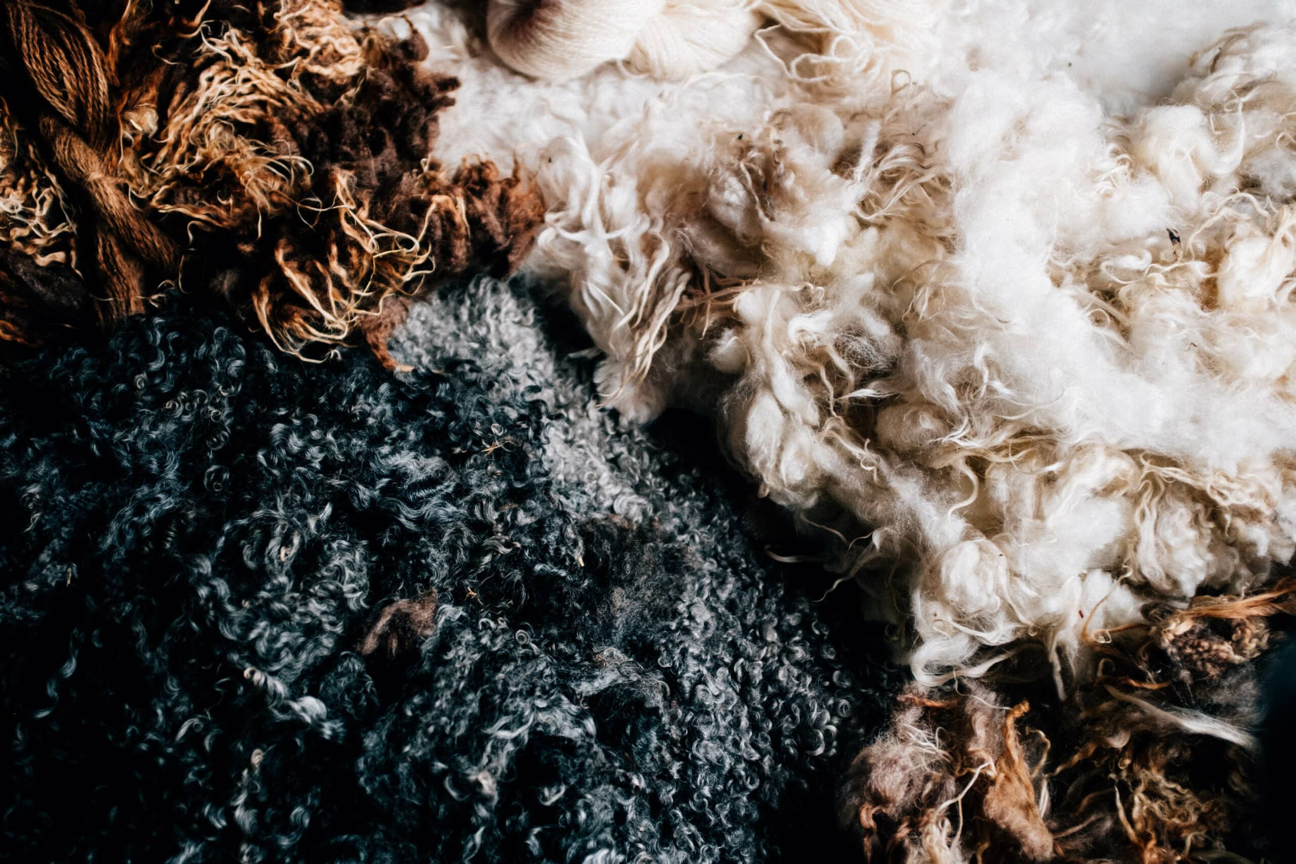 Kick-off The Swedish Wool Initiative Dalarna – Program